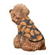 thumbnail image 5 of Fotbe Various Oranges Sudadera con Estampado para Perros Pequeños – Suéter con Capucha para Mascotas, Tela Suave de Forro Polar con Bolsillo-Medium, 5 of 7