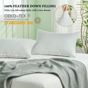 Teler Goose Feather Down Pillows for Sleeping,Hotel Collection Standrad Size Soft Bed Pillow,1 Pack,Standrad (20.2 x 26.2)