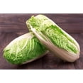thumbnail image 3 of HJADGG Napa Chinese Peking Cabbage Vegetable for Planting Heirloom Non GMO, 3 of 8
