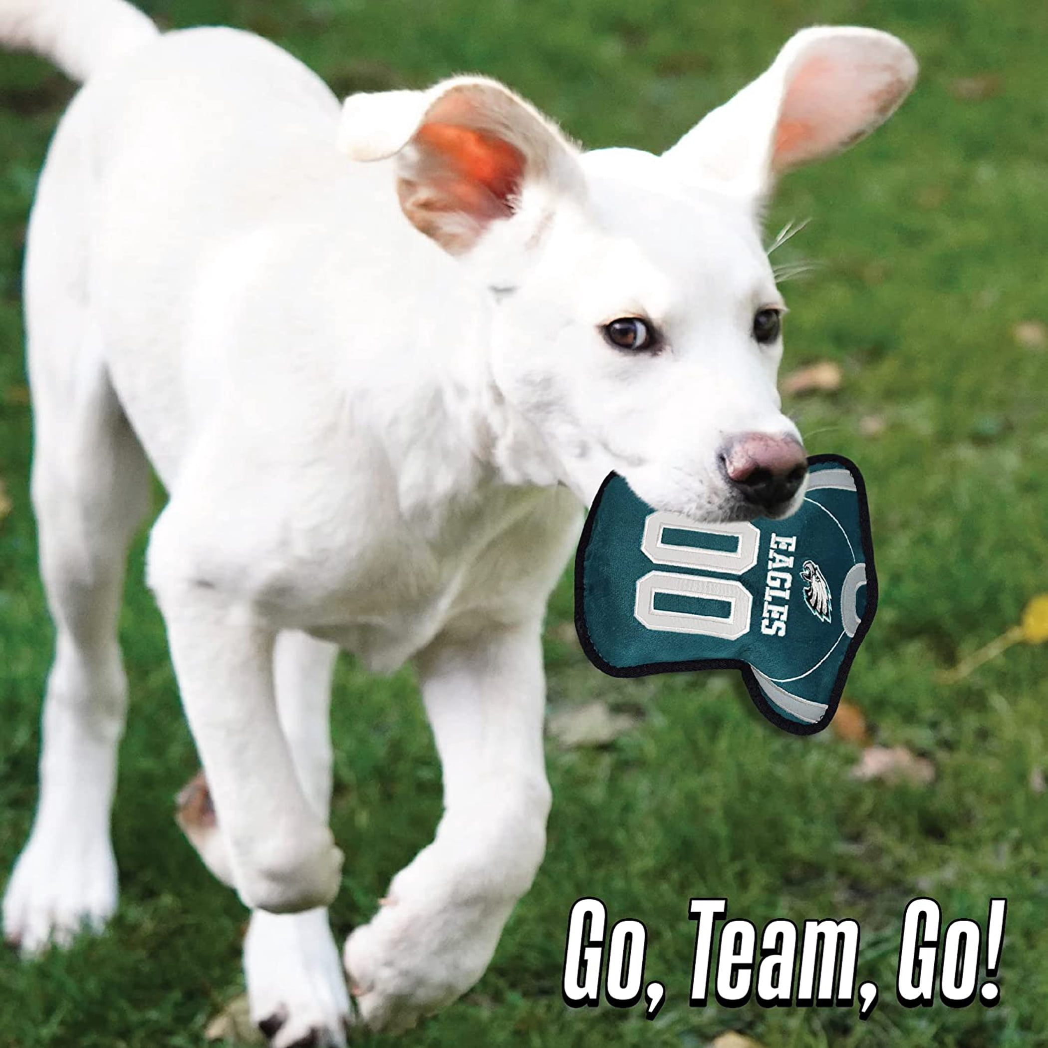 NFL Tough Jersey Pet Dog Toy Premium Quality with Built-in Squeaker Chew Toy