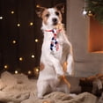 thumbnail image 5 of RKSTN Attaches en Polyester pour Animaux de Compagnie, Attache pour Chats et Chiens, 5 of 5