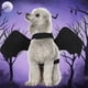 thumbnail image 3 of Alas de murciélago para mascotas Halloween negro fresco perro gato traje de cambio de murciélago negro, 3 of 7