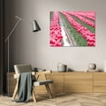 thumbnail image 3 of Dana Styber 18x13 Gallery Wrapped Canvas Wall Art Titled - Rainy Tulip Field, 3 of 4