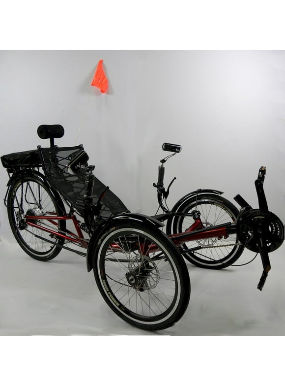 Recumbent Bikes in Adult Bikes