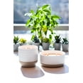 thumbnail image 5 of Better Homes & Gardens White Salted Coconut & Mahogany 16oz 2-Wick Candle, 5 of 5