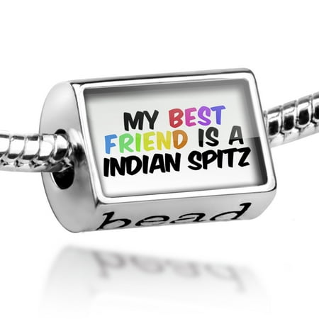 Bead My best Friend a Indian Spitz Dog from India Charm Fits All European