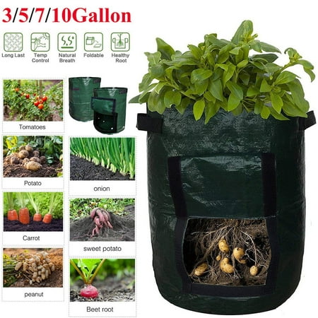 DIY Potato Grow Planter Cloth Plants Container Bag Vegetable Gardening ...