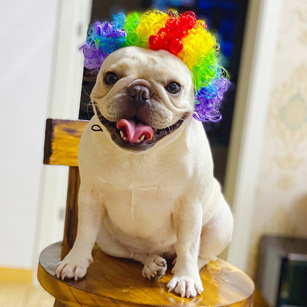 Nobrand Dog Wig Artificial Funny Cute Cat Costume Accessory Pet Headwear For Halloween Multicolour