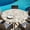 Off-White, variant on Round Table Cover 55-60 Inch Spring Floral Waterproof Reusable Table Cloth Round Fitted Vinyl Tablecloth with Elastic Edged for Parties Outdoors, Watercolor Flowers Leaves Tree Branches Beige