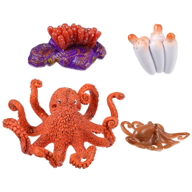 1Set Simulation de Croissance Modèle de Poulpe Outil de Cognition pour la Science Maternelle