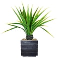 thumbnail image 1 of Vintage Home Artificial Faux Real Touch 54" Tall Real Touch Agave Plant And Resin Planter, 1 of 1