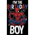 thumbnail image 2 of Boy's Marvel I'm Birthday Boy Spidey  Graphic Tee Black X Small, 2 of 5