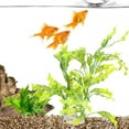 thumbnail image 1 of Landscape Decoration Non- Aquarium Plastic Kelp, With White Base Artificial Kelp, For Aquarium, 1 of 8