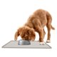 thumbnail image 1 of Prenda impermeable del cojín del animal doméstico del silicón y fácil limpiar el cojín de la comida del animal doméstico del cuadrado del cojín del gato del cojín del perro, 1 of 6