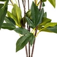 thumbnail image 3 of Vickerman 23" Artificial Beige Peony Spray., 3 of 7