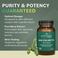 thumbnail image 5 of (3 pack) Prominent Nutrition Saw Palmetto Supplement, Healthy Prostate Support Saw Palmetto for Men, Supplement for Urinary Health, 160 mg, 30 Day Supply, 5 of 9