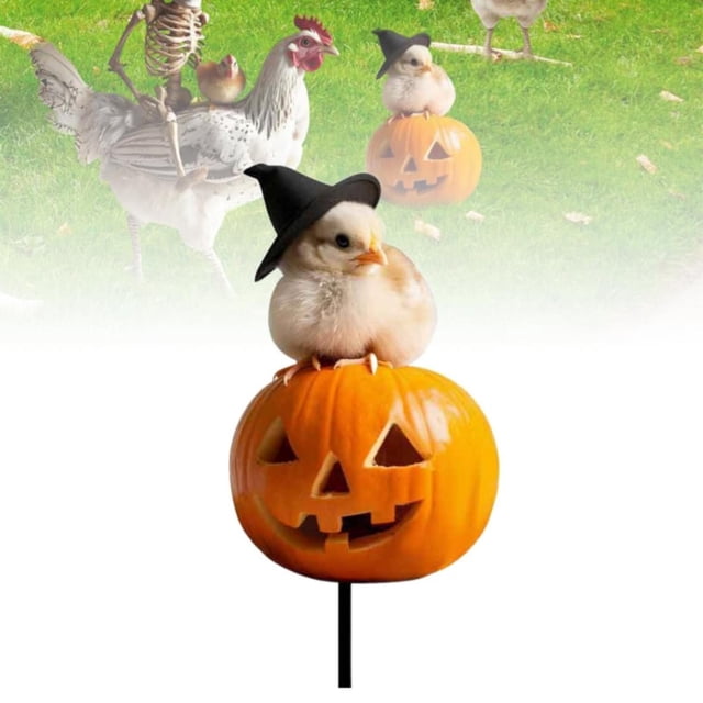 Halloween Yard Decoration 2024 New Skeleton Riding Rooster Yard Sign Skeleton Decor Figurines 2D Plane Realistic Halloween Winged Chicken Ornament Cute Halloween Decor,Statue