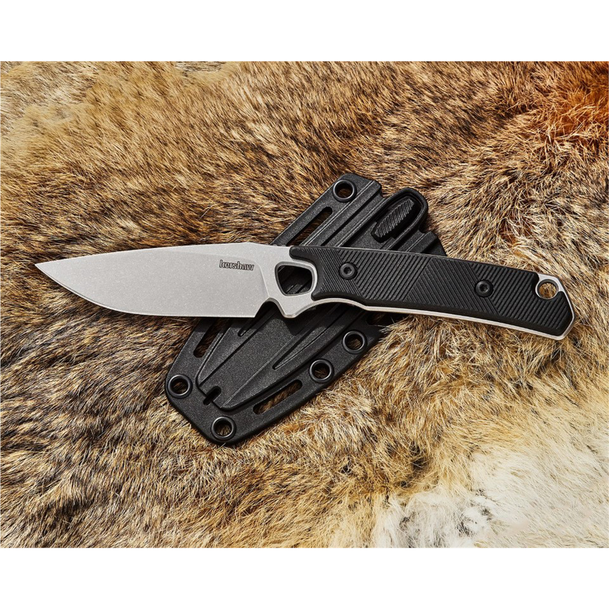 Kershaw Steppe Drop Point Fixed Blade Field Knife with Polypropylene Sheath - Black/Gray