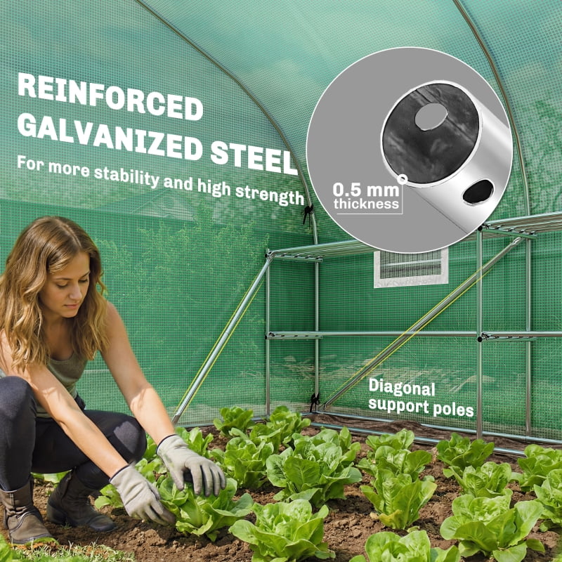 Alvantor Green 10x11x6 Walk-in Tunnel Greenhouse with Shelves, Mesh Door & Windows, PE Cover Plant