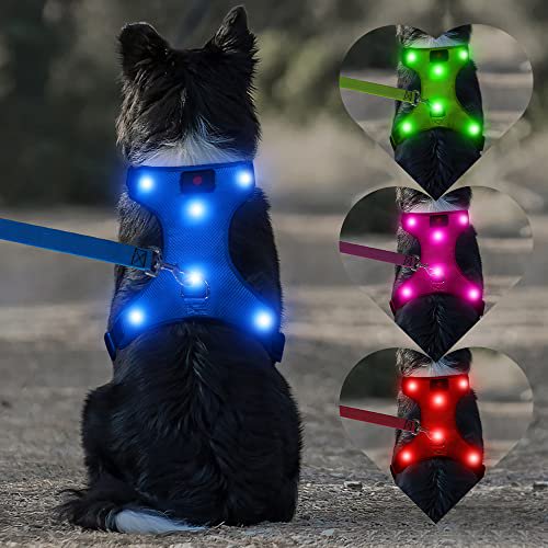 DOMIGLOW Harnais pour Chien LED USB Rechargeable Harnais Lumineux pour Chiens Sans Traction Gilet Harnais avec Costume Rembourré Confortable pour Vos Chiens Moyens (m Bleu)