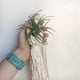 thumbnail image 5 of 10X Colgador de Planta de Aire Boho Macrame Soporte de Cuerda para Cesta Colgante Tillandsia DecoracióN del Hogar de Flores (13 CM), 5 of 5
