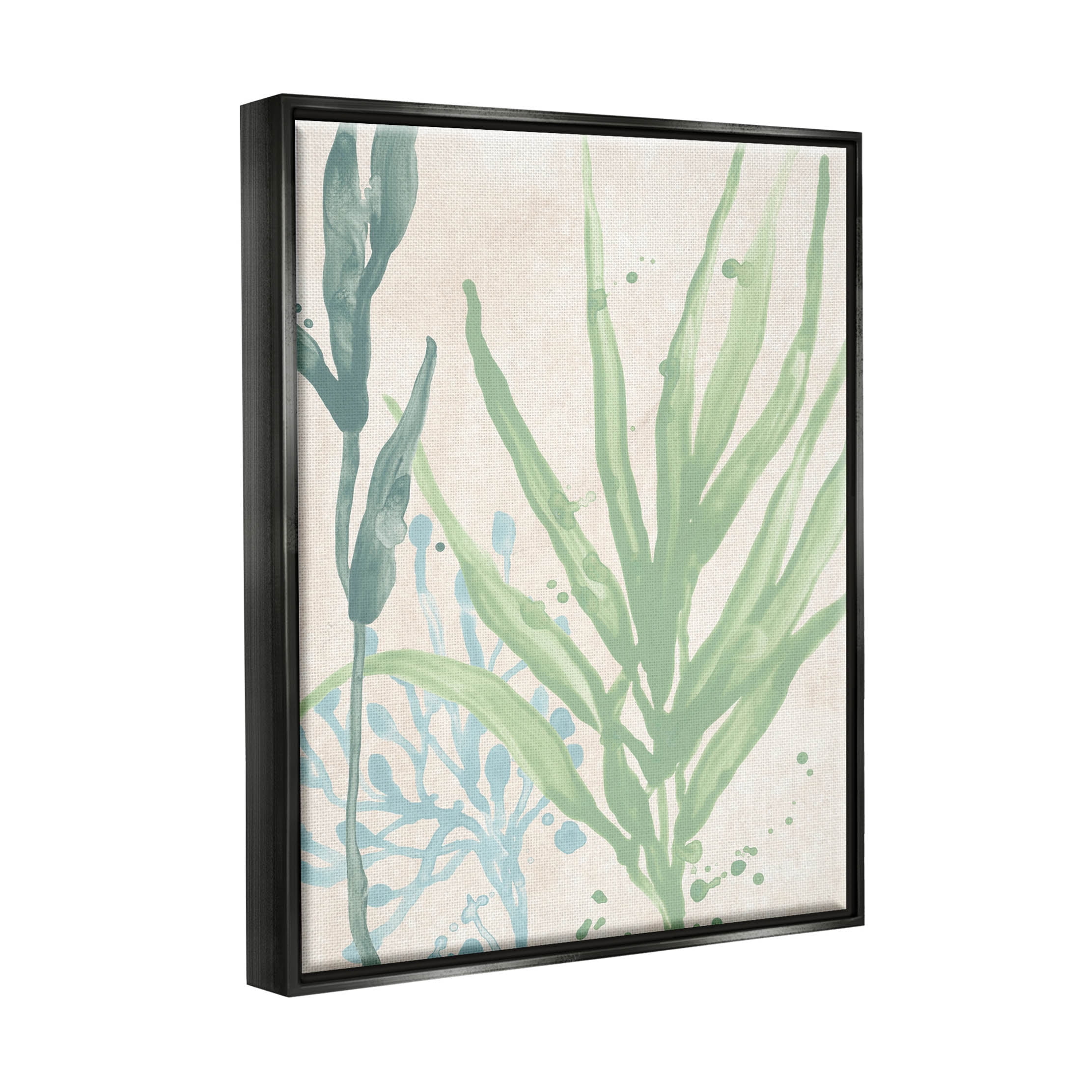 Stupell Industries Aquatic Seaweed Botanicals Graphic Art Jet Black Floating Framed Canvas Print Wall Art, Design by June Erica Vess
