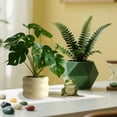 thumbnail image 5 of Moocorvic Faux Potted Plants Mini Artificial Greenery for Office Desk, Living Room Indoor Table Bathroom Decor, 5 of 8