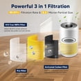 thumbnail image 3 of 2 Pcs Yellow Core 300 Replacement Filter 3 In 1 True HEPA Activated Carbon, 3 of 8