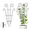 thumbnail image 4 of Stakes Plant Climbing Support Frame Garden Climbing Trellis Flowers Stand Cage, 4 of 9