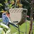 thumbnail image 5 of Birds Choice ACORN Peanut Feeder, Acord-Shaped Bird Feeder, 1 Quart, Taupe, 5 of 10