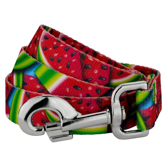 Country Brook Petz - 1/2 inch Summer Melon Dog Leash - 4 Foot