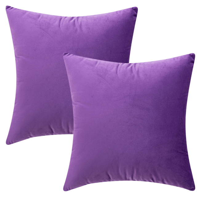 Purebryt Velvet Throw Pillow Cover (18"x18), 2 Pack, Purple