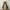 White, variant on bvgfsahne Women's Notch Lapel single button Wool Blend Mid Long Pea Trench Coat