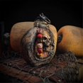 thumbnail image 4 of Pirate Rum Bottle Skull Bottle G, 4 of 4