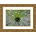 thumbnail image 1 of Faber, Wave 24x17 Gold Ornate Wood Framed with Double Matting Museum Art Print Titled - Green and White II, 1 of 4