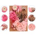 thumbnail image 3 of Unique Bargains Fleurs Séchées Naturelles Multiples Fleurs Pressées Colorées Série Rose, 3 of 5