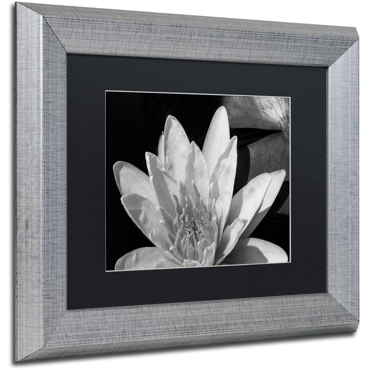 Trademark Fine Art "Water Lily in Black and White" Canvas Art by Kurt Shaffer, Black Matte, Silver Frame