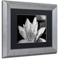 thumbnail image 2 of Trademark Fine Art "Water Lily in Black and White" Canvas Art by Kurt Shaffer, Black Matte, Silver Frame, 2 of 4