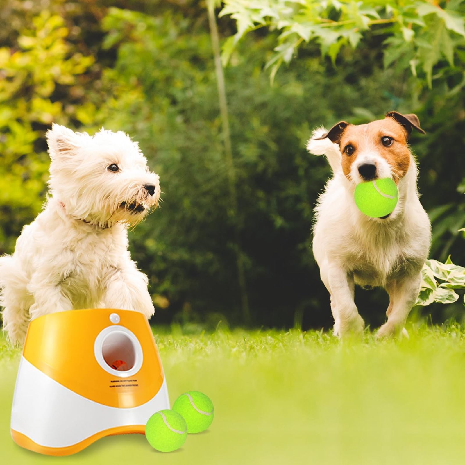SQDWYGUO Automatic Dog Ball Thrower Launcher with 12 PCS Tennis Balls,Thrower Distance 10-30ft, Interactive Dog Fetch Machine Toy for Small Dogs,Yellow
