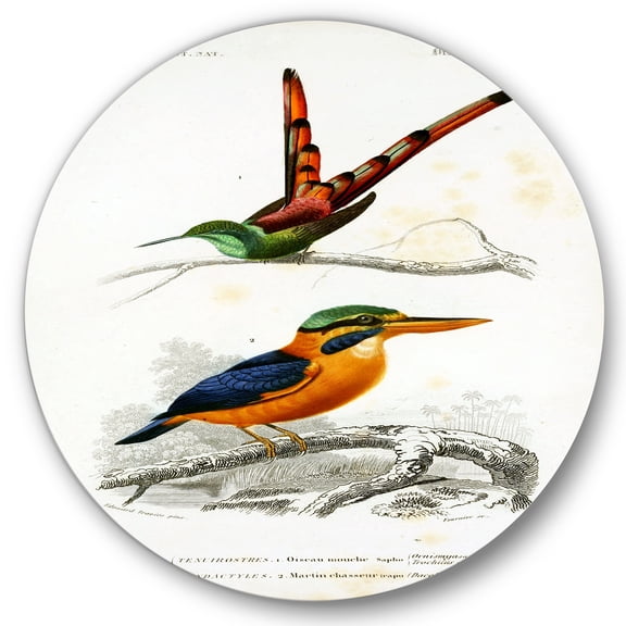 Designart 'Ancient Bird I' Traditional Circle Metal Wall Art 36x36 - Disc of 36