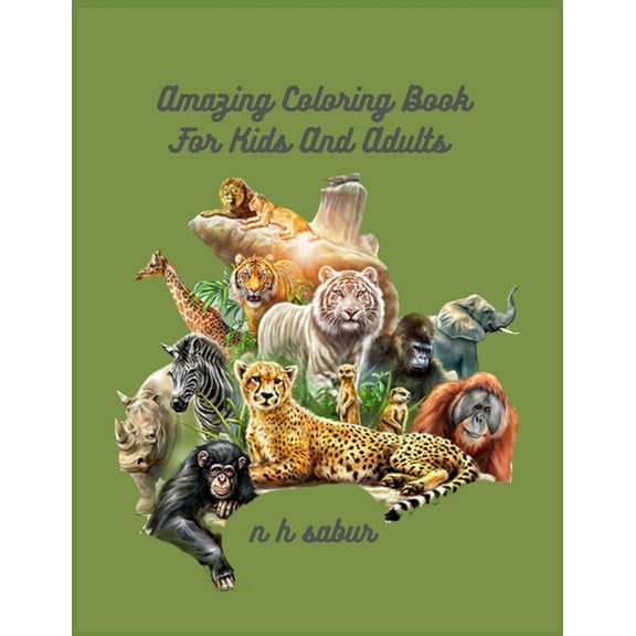 Amazing Coloring book kids and adults (Paperback)