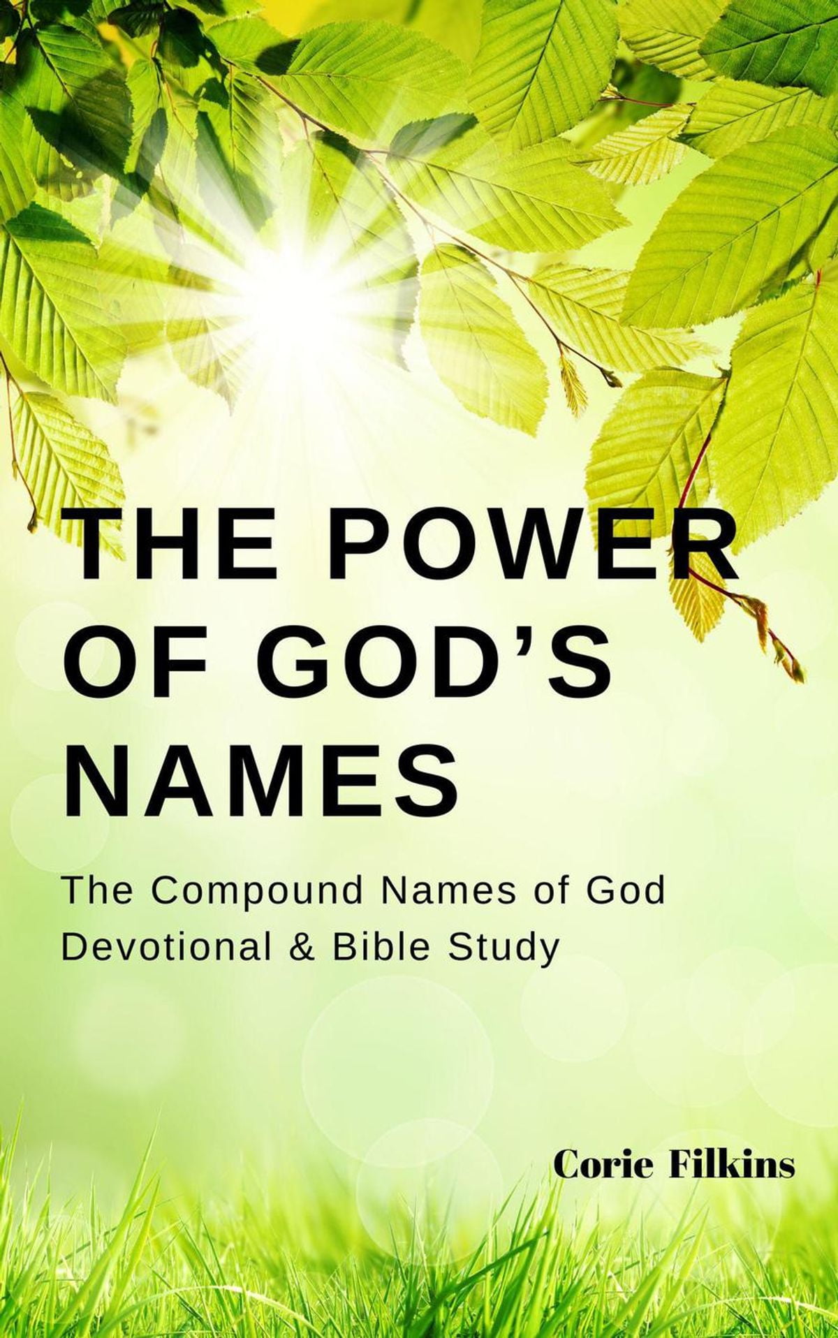 30-powerful-names-of-god-devotional-bible-study-prayer-journal