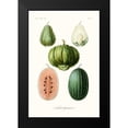 thumbnail image 2 of Unknown 11x14 Black Modern Framed Museum Art Print Titled - Fruit And Vegetable Varieties VIII, 2 of 5