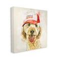 thumbnail image 3 of Stupell Fun Dog Flag Stripes Hat Animals & Insects Painting Gallery Wrapped Canvas Print Wall Art, 3 of 7