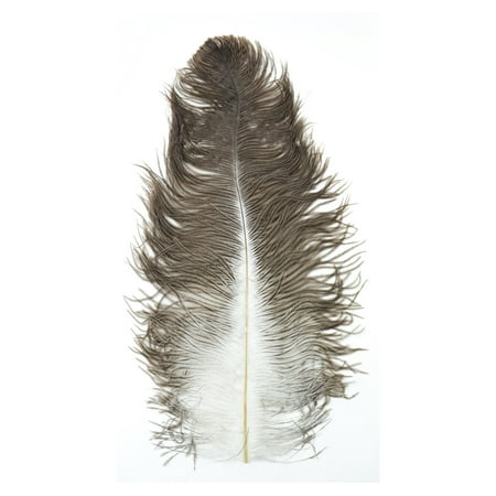Pack of 3 Brown and White Natural Ostrich Feather Drabs 18
