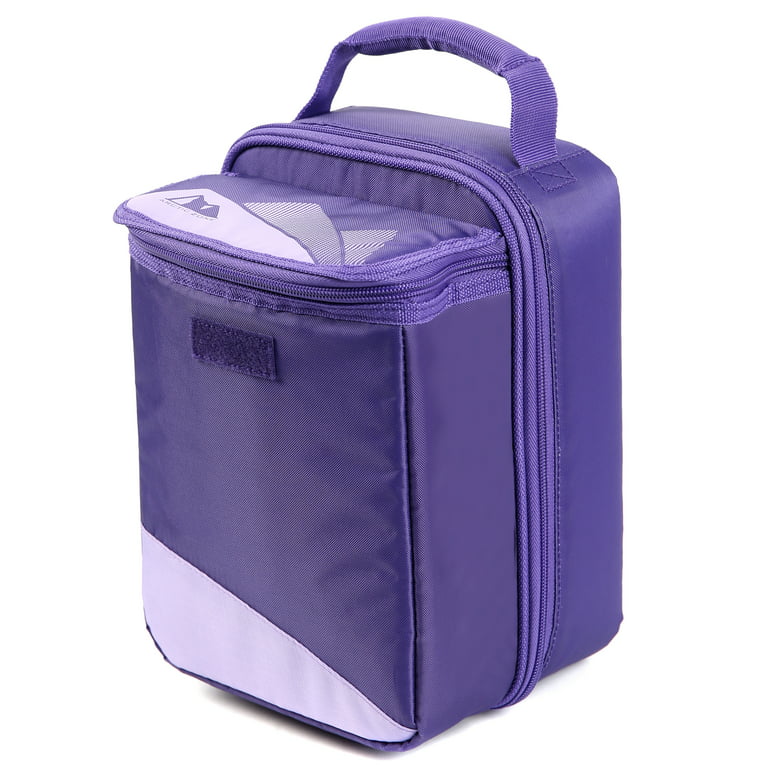 Which Lunch Box Fits in Which Insulated Lunch Bag – Biome
