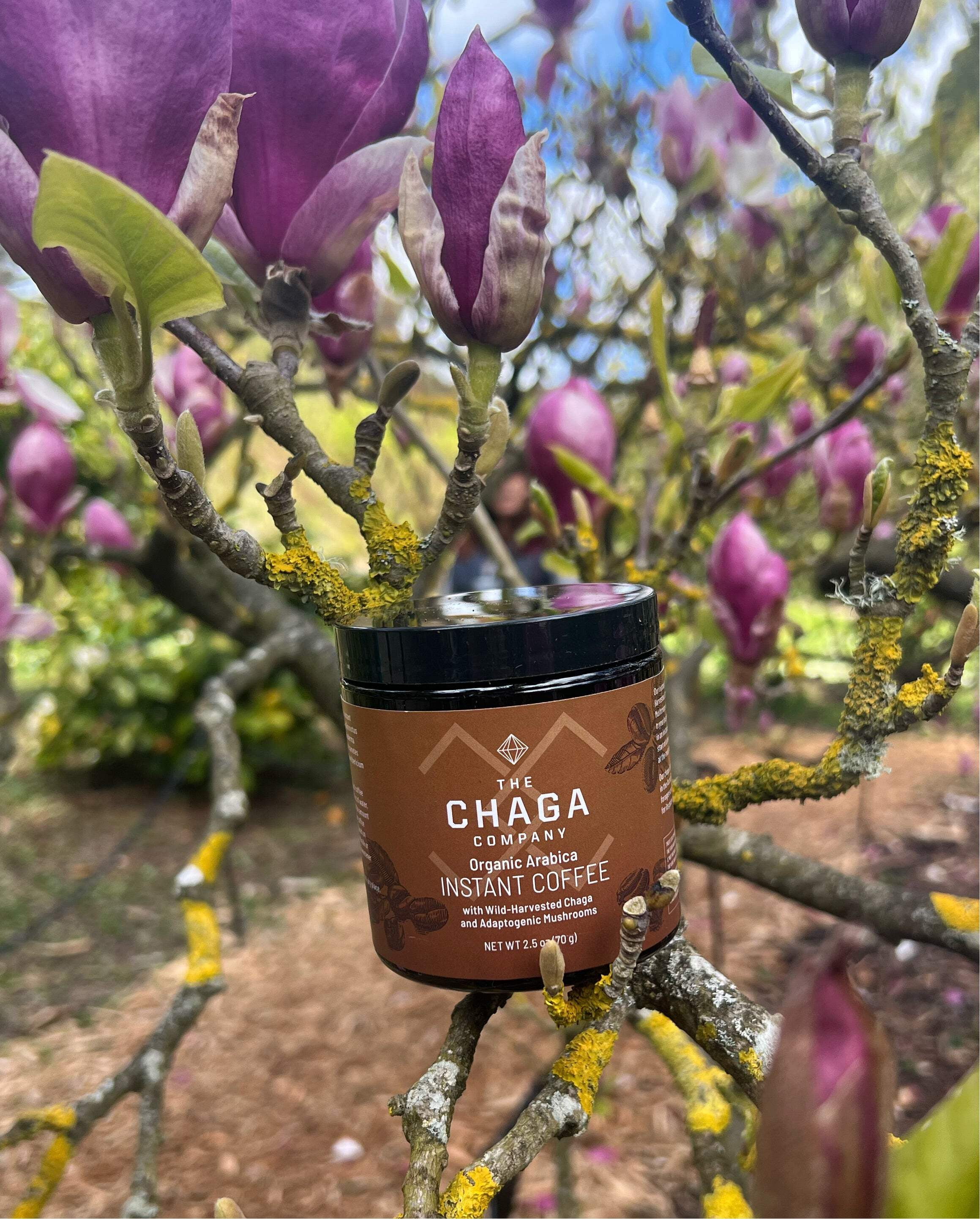 Instant Coffee  with Chaga and Adaptogenic Mushrooms