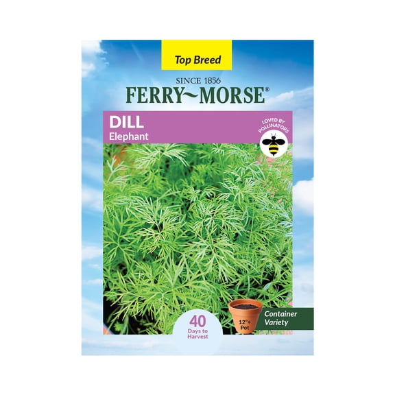 Ferry-Morse 300MG Dill Elephant Annual Herb Seeds, Full Sun