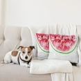 thumbnail image 4 of Ambesonne Saying Throw Pillow Cover 2 Pack, Watercolor Watermelon, 16", Pink Black, 4 of 7