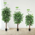thumbnail image 6 of Accreate Artificial Ficus Tree,Tall Fake Ficus Silk Tree with Natural Wood Trunk in Plastic Nursery Pot for Indoor Outdoor House Living Room Office Garden Decor, 6 of 7